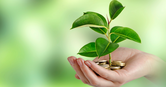 Going Green with Your Portfolio: Getting Smart or Getting Trendy?